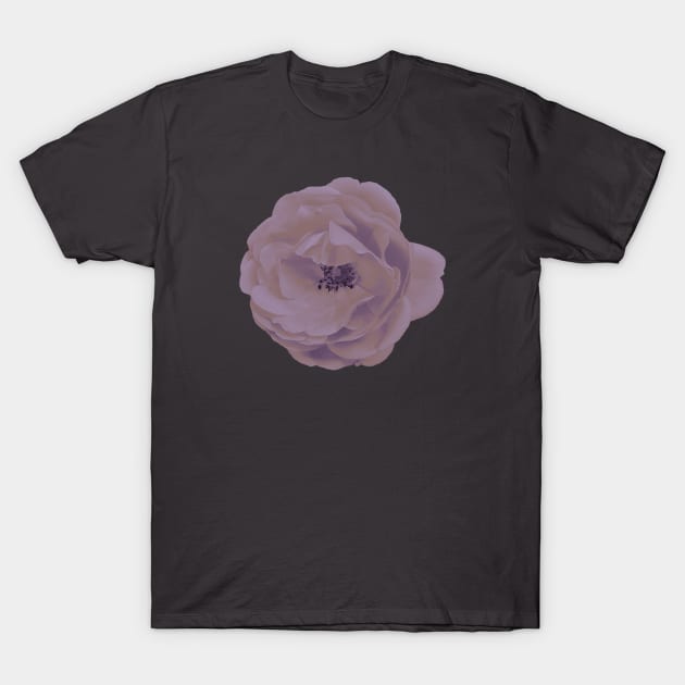 Roses are (mauve) T-Shirt by misskyrstyn